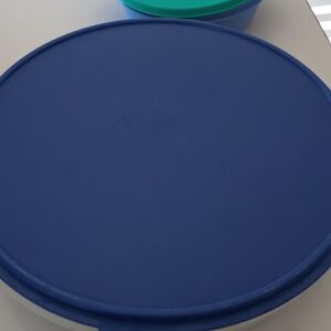 Tupperware Blue and Green Food Storage Containers